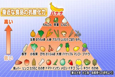 抗酸化作用のある食べ物を紹介 毎日意識して摂取してみよう アンチエイジングでいつまでも若々しく